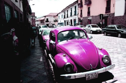 Fotografia de Maria Elena - Galeria Fotografica: Boxos!!! - Foto: 