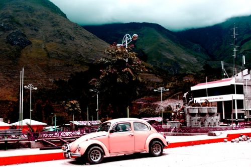 Fotografia de Maria Elena - Galeria Fotografica: Boxos!!! - Foto: 