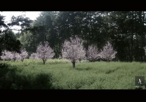 Fotografia de Ruben Mora B. - Galeria Fotografica: Rubn Mora photografy - Foto: Meditacin