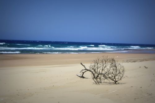 Fotografia de @n@ - Galeria Fotografica: Africa - Foto: Africa