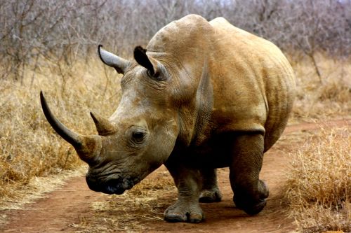 Fotografia de @n@ - Galeria Fotografica: Africa - Foto: Africa