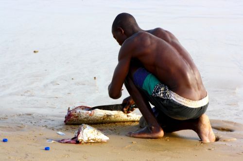 Fotografia de @n@ - Galeria Fotografica: Africa - Foto: Africa