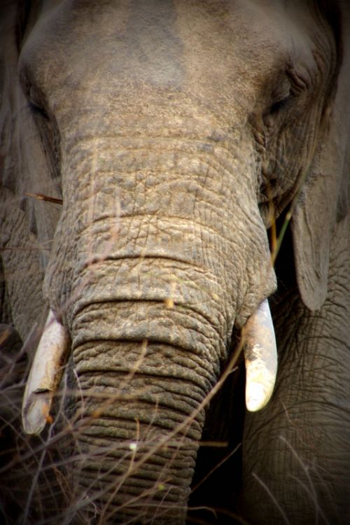 Fotografia de @n@ - Galeria Fotografica: Africa - Foto: Africa