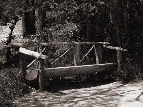 Fotografia de E.Gardel - Galeria Fotografica: Reportajes graficos - Foto: 