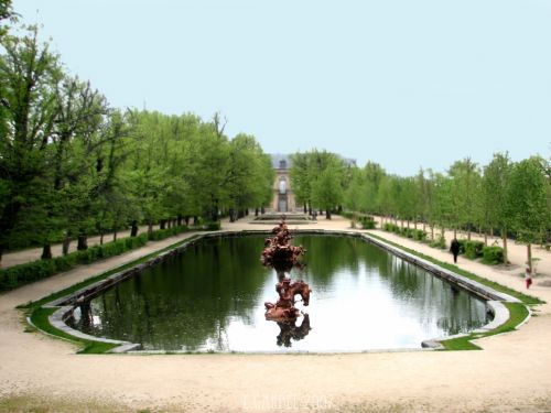 Fotografia de E.Gardel - Galeria Fotografica: Reportajes graficos - Foto: 