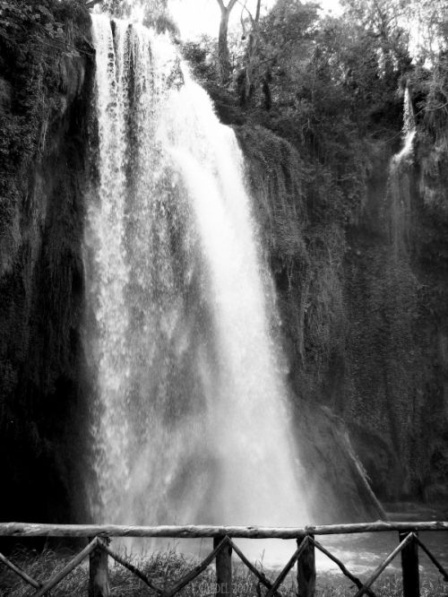 Fotografia de E.Gardel - Galeria Fotografica: Reportajes graficos - Foto: 