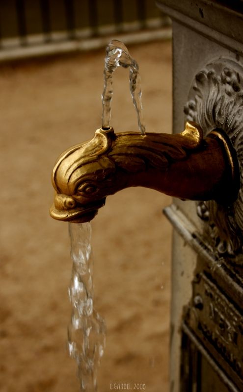 Fotografia de E.Gardel - Galeria Fotografica: Reportajes graficos - Foto: 