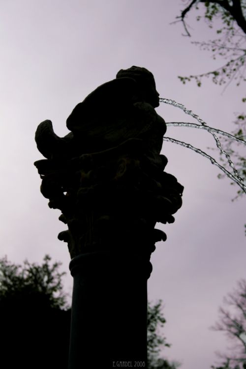 Fotografia de E.Gardel - Galeria Fotografica: Reportajes graficos - Foto: 