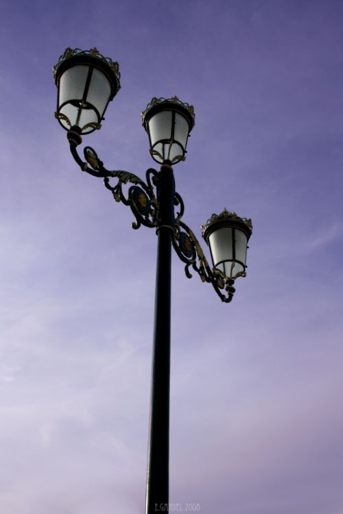 Fotografia de E.Gardel - Galeria Fotografica: Reportajes graficos - Foto: 