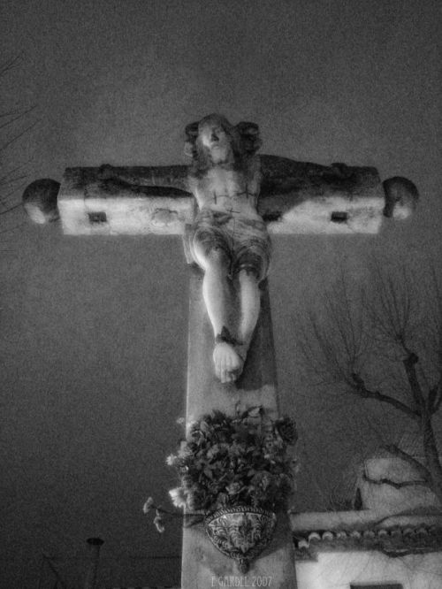 Fotografia de E.Gardel - Galeria Fotografica: Reportajes graficos - Foto: 