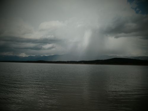 Fotografia de Quercus - Galeria Fotografica: naturaleza - Foto: 