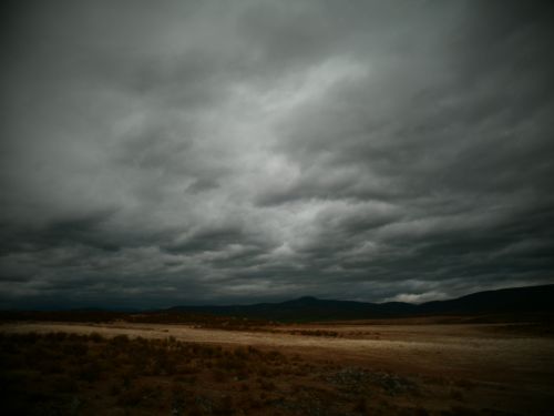 Fotografia de Quercus - Galeria Fotografica: naturaleza - Foto: 