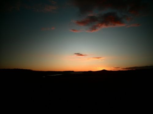 Fotografia de Quercus - Galeria Fotografica: naturaleza - Foto: 