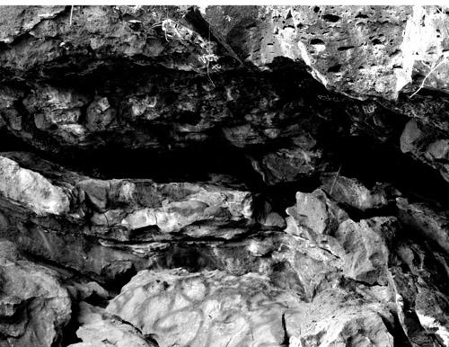 Fotografia de ocelotl - Galeria Fotografica: cu - Foto: belleza no percibida4