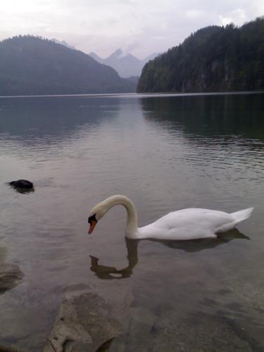 Fotografia de Nashira - Galeria Fotografica: mundo - Foto: lago