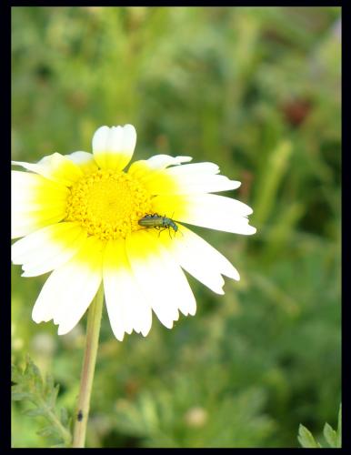Fotografia de Nashira - Galeria Fotografica: mundo - Foto: zash