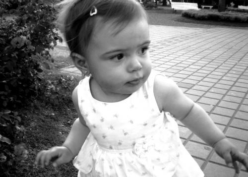 Fotografia de Sandra - Galeria Fotografica: mis fotos - Foto: lucia