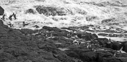 Fotografia de nako - Galeria Fotografica: trazos del mar - Foto: jugando al escondite