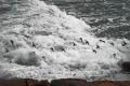 Fotos de nako -  Foto: trazos del mar - surcando las olas