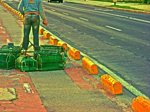 Fotografia de nako - Galeria Fotografica: trazos del mar - Foto: 