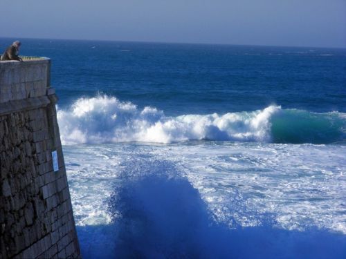 Fotografia de nako - Galeria Fotografica: trazos del mar - Foto: 