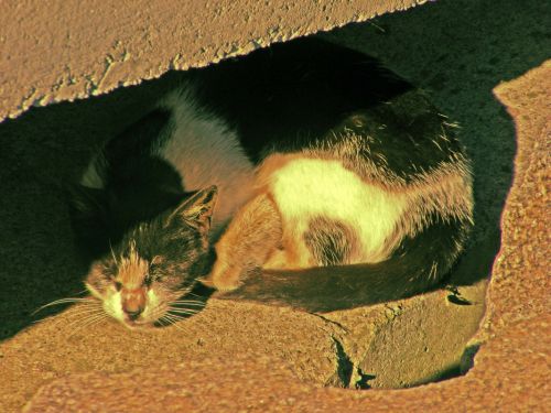 Fotografia de nako - Galeria Fotografica: trazos del mar - Foto: callejero