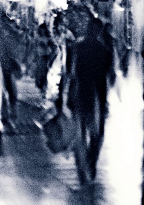 Fotografia de �ngel Mu�oz - Galeria Fotografica: Especies - Foto: 