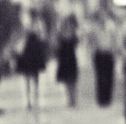 Fotografia de �ngel Mu�oz - Galeria Fotografica: Especies - Foto: 