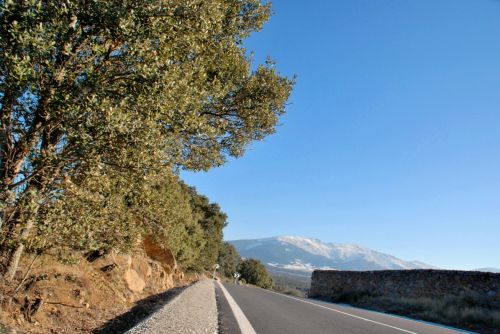 Fotografia de Luca  - Galeria Fotografica: Caminos - Foto: 