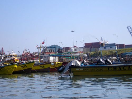 Fotografia de Darwin Quezada - Galeria Fotografica: San Antonio - Foto: 