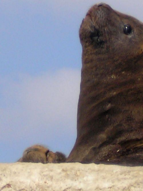 Fotografia de Darwin Quezada - Galeria Fotografica: San Antonio - Foto: 