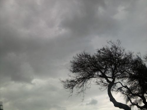 Fotografia de Mayfair - Galeria Fotografica: Various - Foto: Tormenta