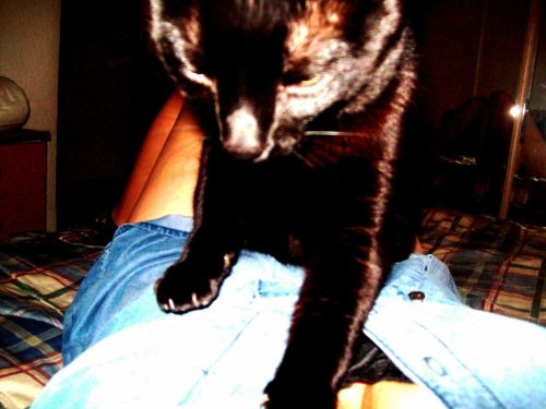 Fotografia de Mayfair - Galeria Fotografica: Various - Foto: Lucky