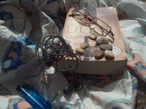 Fotografia de Mayfair - Galeria Fotografica: Various - Foto: Dune