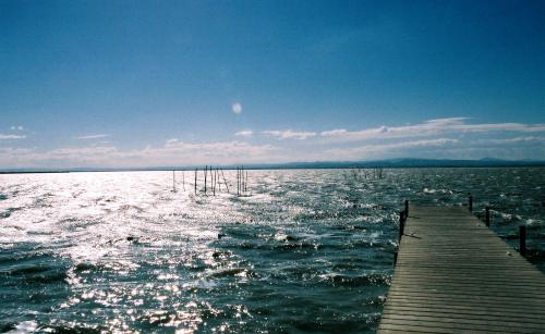 Fotografia de Zulema Louzn Canosa - Galeria Fotografica: Naturaleza - Foto: 