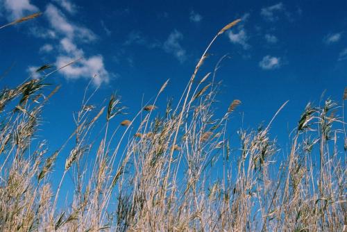Fotografia de Zulema Louzn Canosa - Galeria Fotografica: Naturaleza - Foto: 