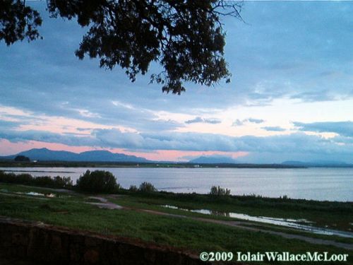 Fotografia de Iolair Wallace  - Galeria Fotografica: rboles y plantas Maravillosa Naturaleza! - Foto: Laguna de fuente de piedra, Malaga
