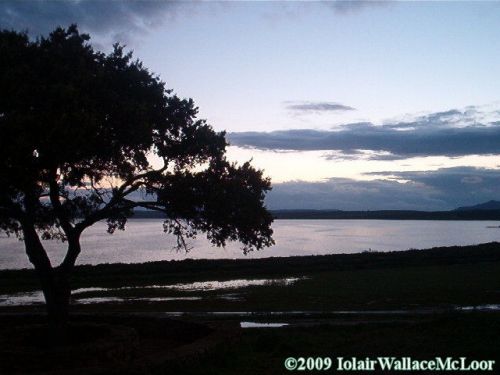 Fotografia de Iolair Wallace  - Galeria Fotografica: rboles y plantas Maravillosa Naturaleza! - Foto: Laguna de fuente de piedra, Malaga
