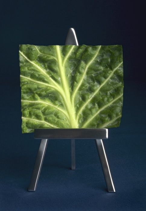 Fotografia de pepe zaragozi - Galeria Fotografica: Retrato - Foto: 