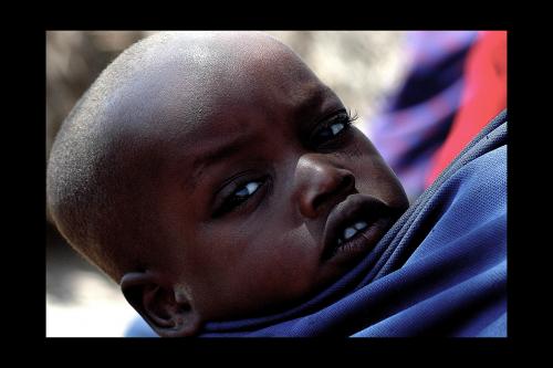 Fotografías mas votadas » Autor: Joan Teixido - Galería: Massais - Fotografía: nio massai
