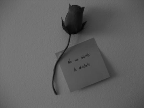 Fotografia de Lluvia - Galeria Fotografica: Momentos - Foto: No me acuerdo de olvidarte