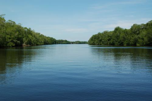 Fotografia de PRODUCCION FOTOGRAFICA PROFESIONAL - Galeria Fotografica: fotos naturaleza CHIAPAS MEXICO - Foto: RESERVA LA ENCRUCIJADA