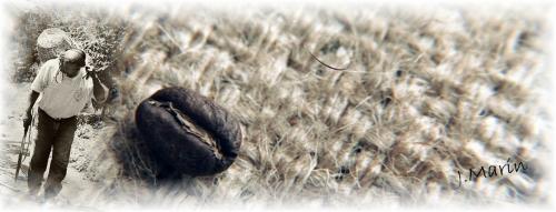 Fotografia de PRODUCCION FOTOGRAFICA PROFESIONAL - Galeria Fotografica: fotos naturaleza CHIAPAS MEXICO - Foto: Histrico