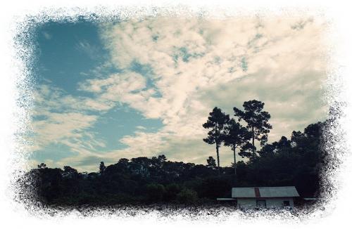 Fotografia de PRODUCCION FOTOGRAFICA PROFESIONAL - Galeria Fotografica: fotos naturaleza CHIAPAS MEXICO - Foto: Atardecer