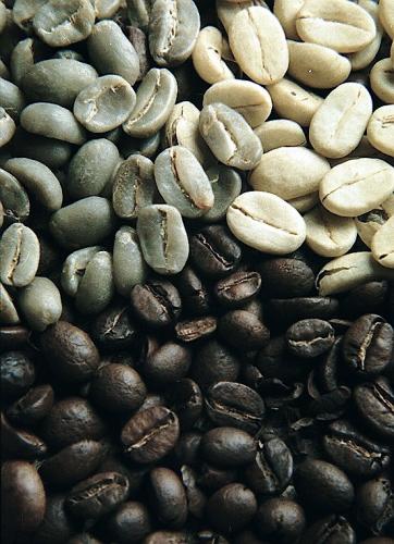 Fotografia de PRODUCCION FOTOGRAFICA PROFESIONAL - Galeria Fotografica: fotos naturaleza CHIAPAS MEXICO - Foto: Caf(s)