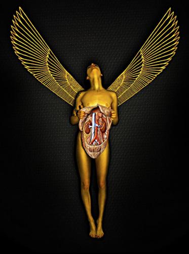 Fotografia de deoscuroanegro.com - Galeria Fotografica: *ManuLen* - Foto: 