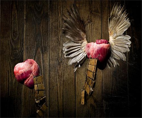 Fotografia de deoscuroanegro.com - Galeria Fotografica: *ManuLen* - Foto: 