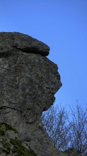 Fotografia de Flavio - Galeria Fotografica: Paseos por Espaa - Foto: Simios en la Pedriza