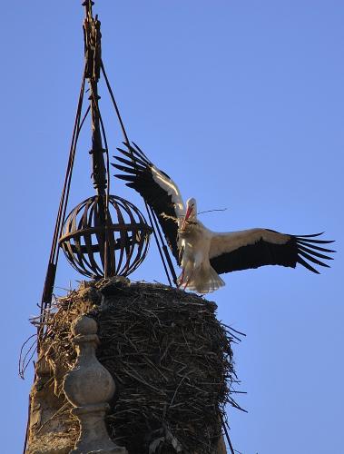 Fotografia de Flavio - Galeria Fotografica: Paseos por Espaa - Foto: Cigea Salamantina								