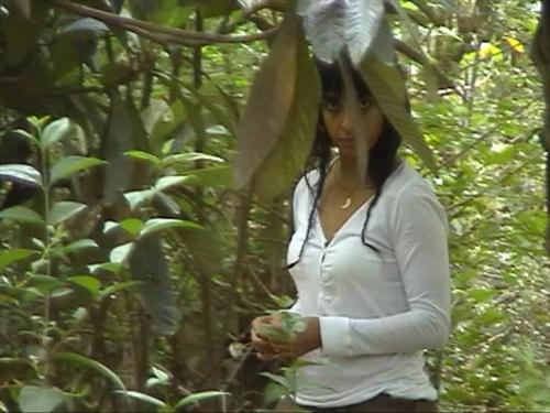 Fotografia de julio - Galeria Fotografica: a - Foto: 	bosque							